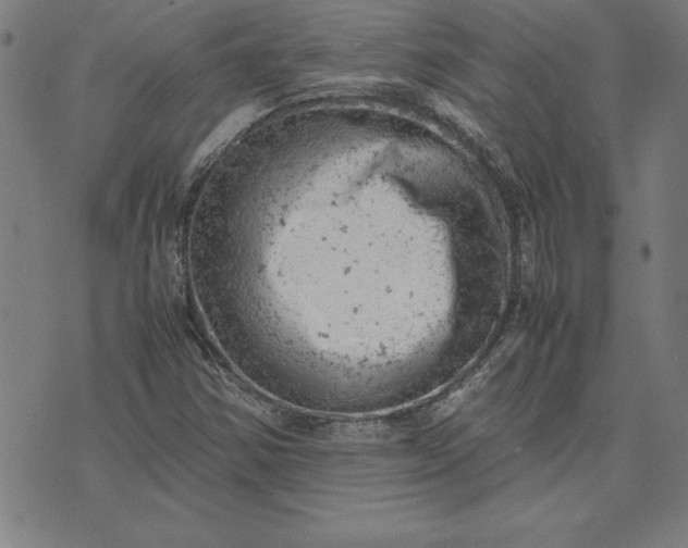 X0000072551354200607281638