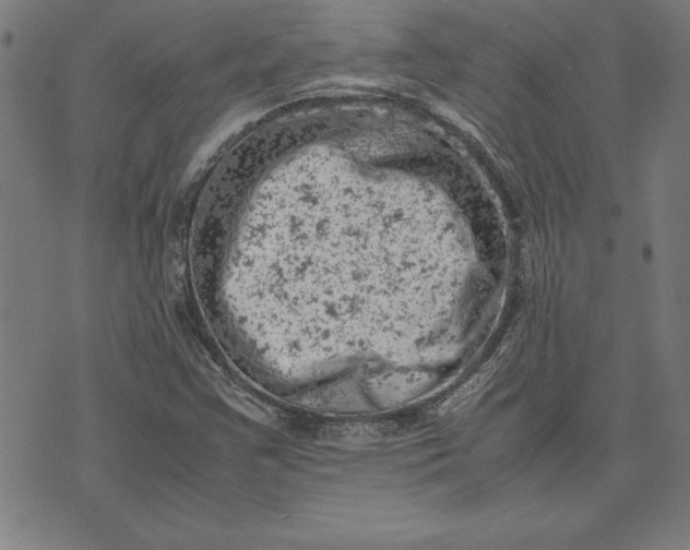 X0000072551355200607281638