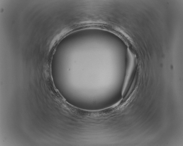 X0000072551357200607281638