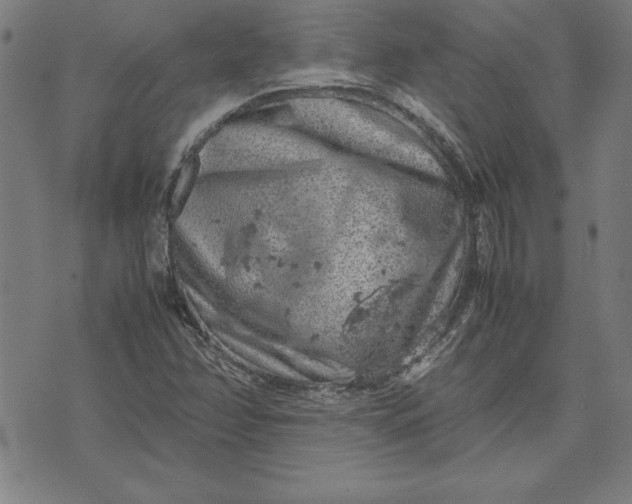 X0000072551358200607281638