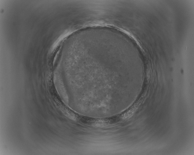 X0000072551359200607281638