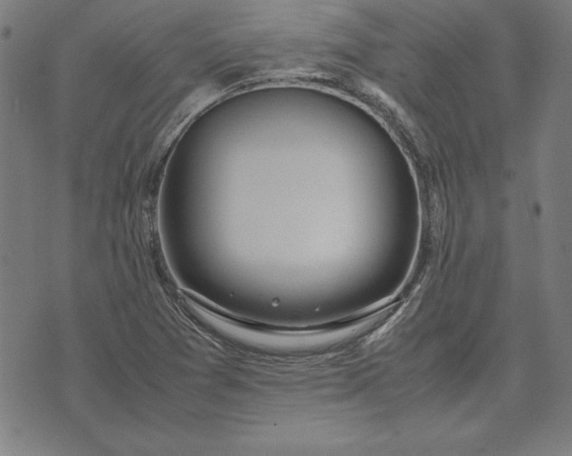 X0000072551361200607281638