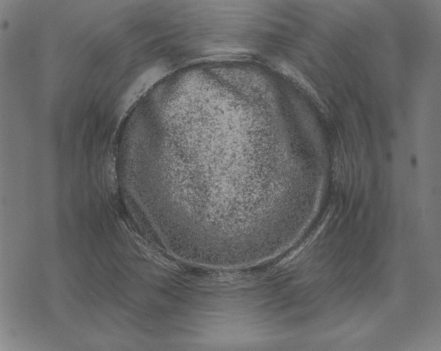 X0000072551362200607281638