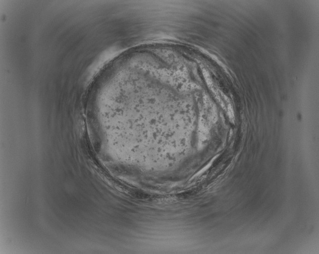 X0000072551363200607281638