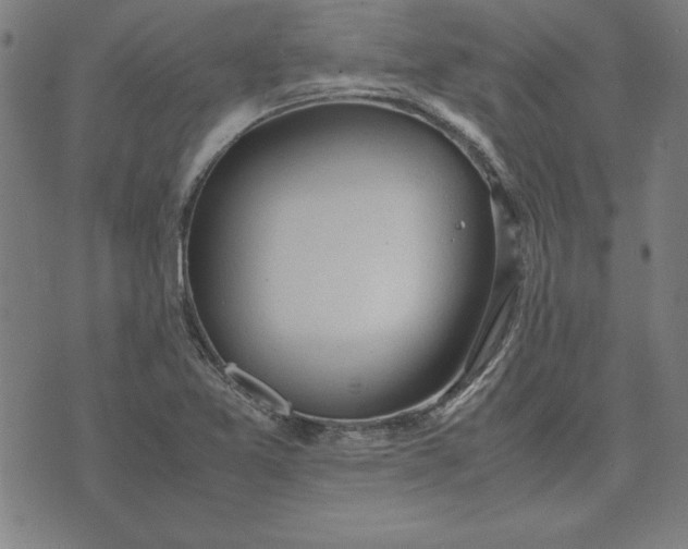 X0000072551365200607281638