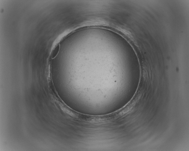 X0000072551366200607281638