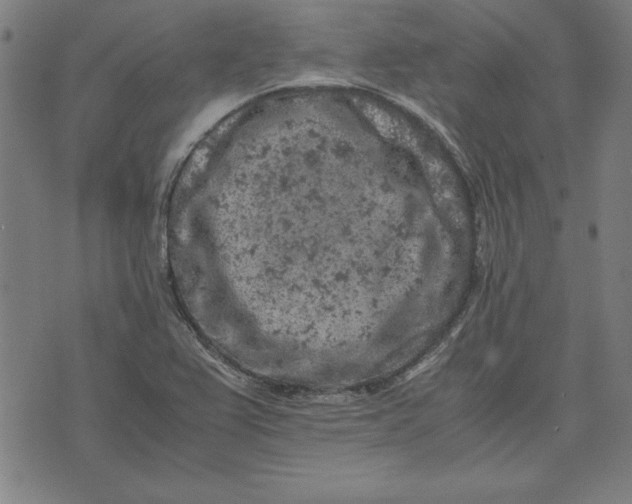 X0000072551367200607281638