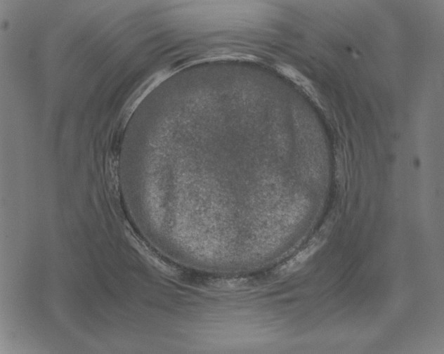 X0000072551369200607281638