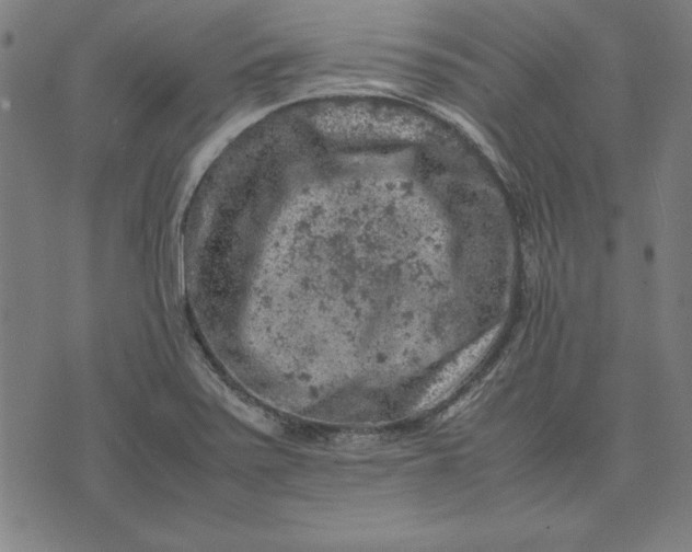 X0000072551371200607281638