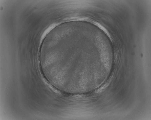 X0000072551373200607281638