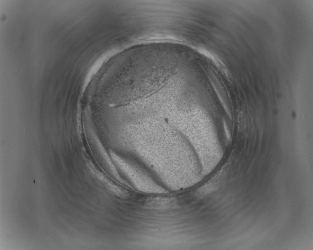 X0000072551374200607281638