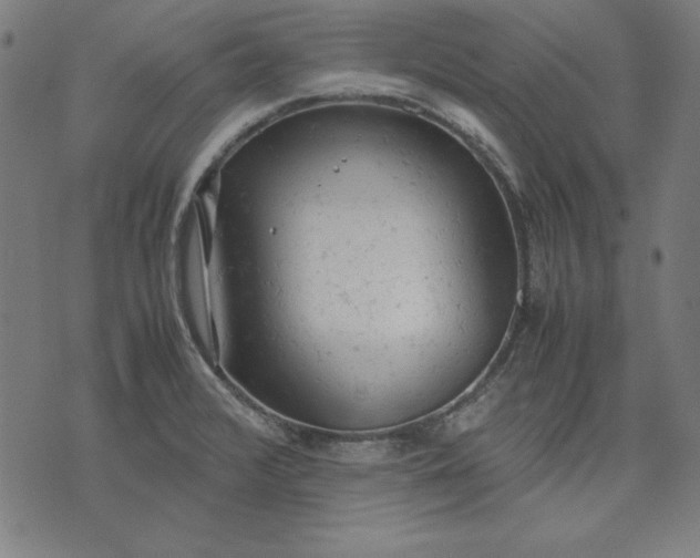 X0000072551376200607281638