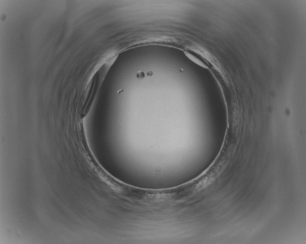 X0000072551377200607281638