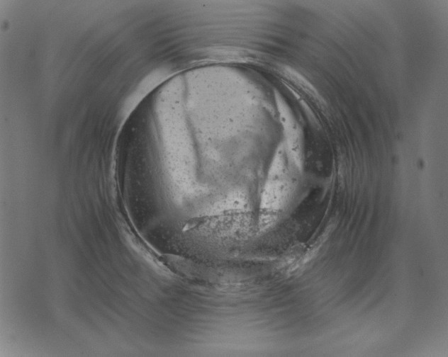 X0000072551378200607281638