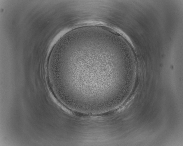 X0000072551381200607281638