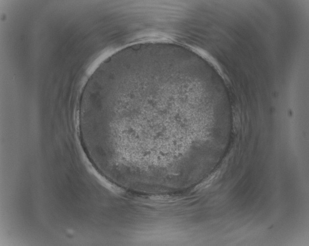 X0000072551383200607281638