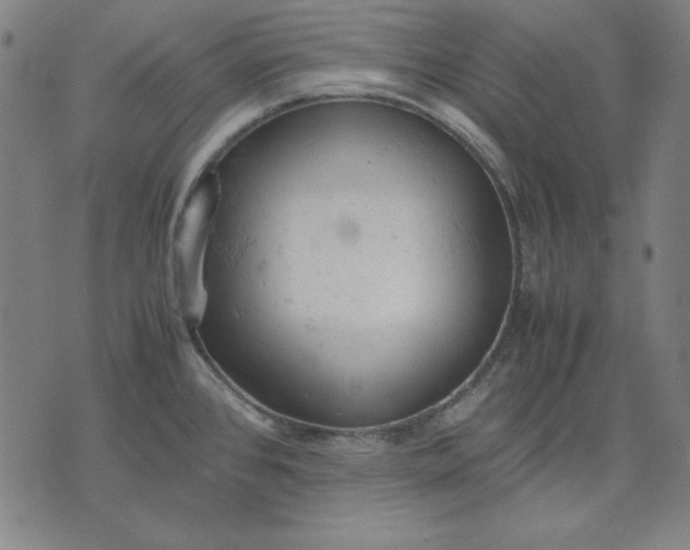 X0000072551384200607281638