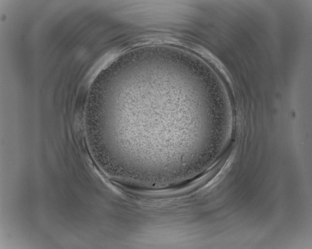 X0000072551385200607281638