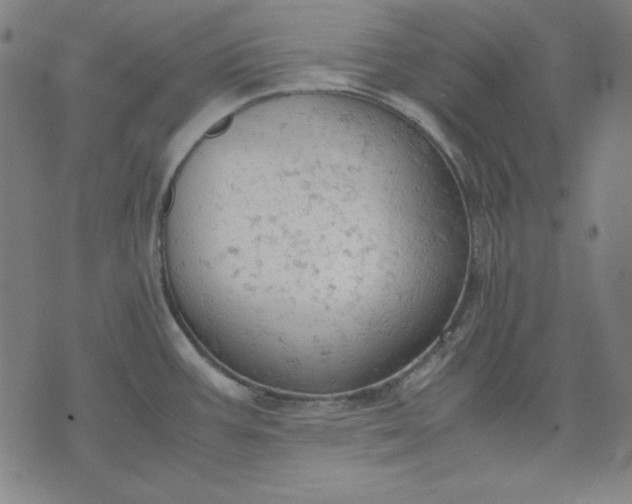 X0000072551387200607281638