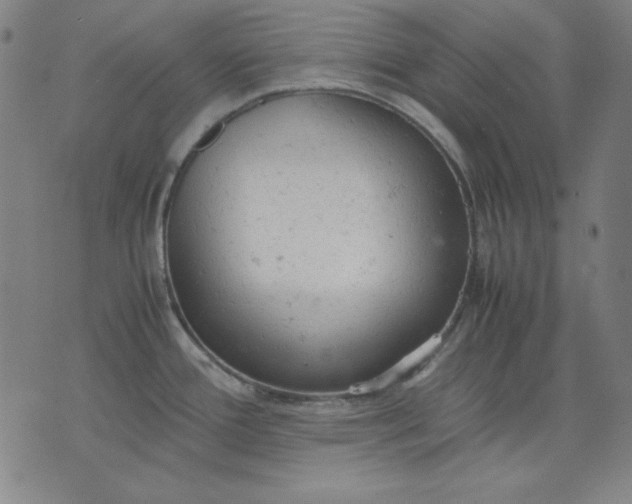 X0000072551388200607281638