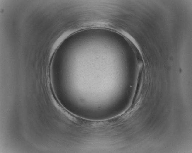 X0000072551389200607281638