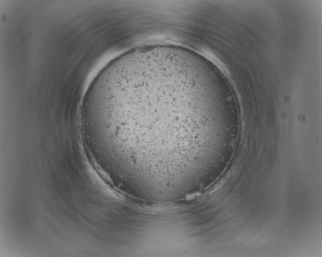 X0000072551392200607281638