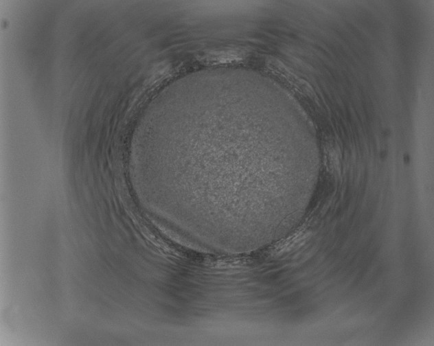 X0000072551393200607281637