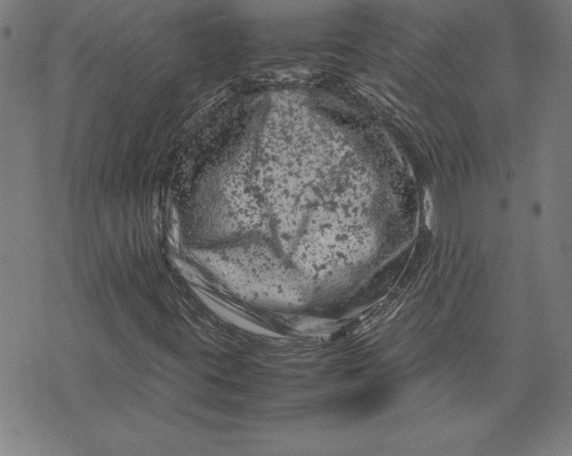 X0000072551395200607281637