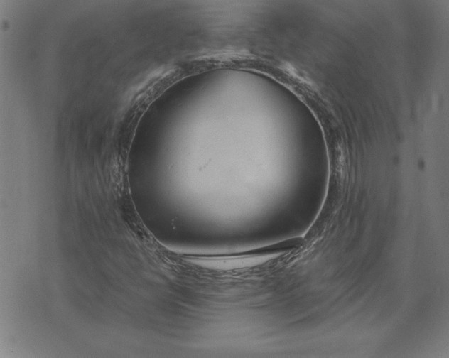 X0000072551398200607281637