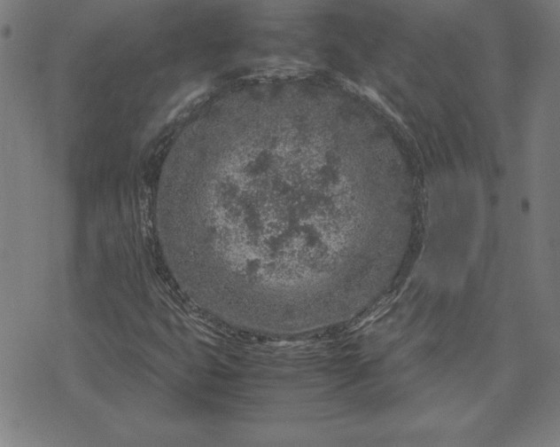 X0000072551399200607281637