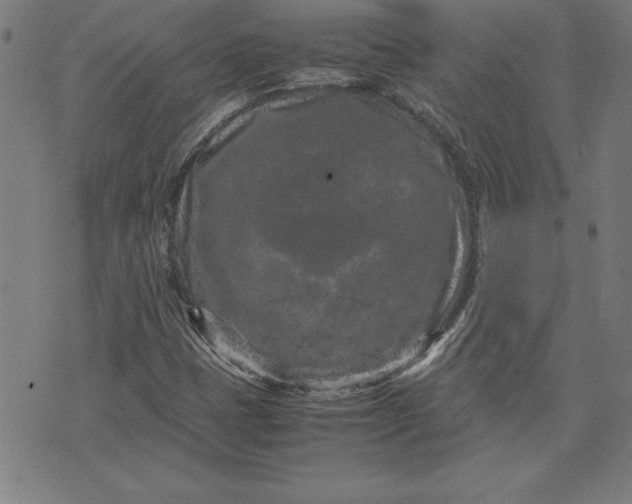 X0000072551401200607281637