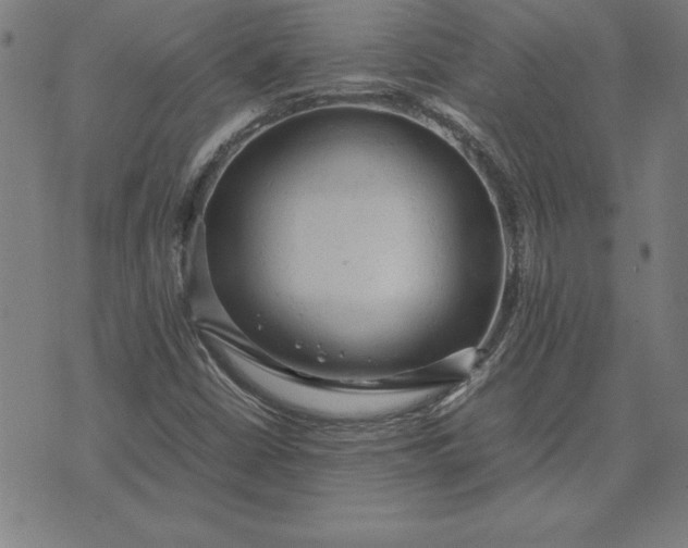 X0000072551402200607281637