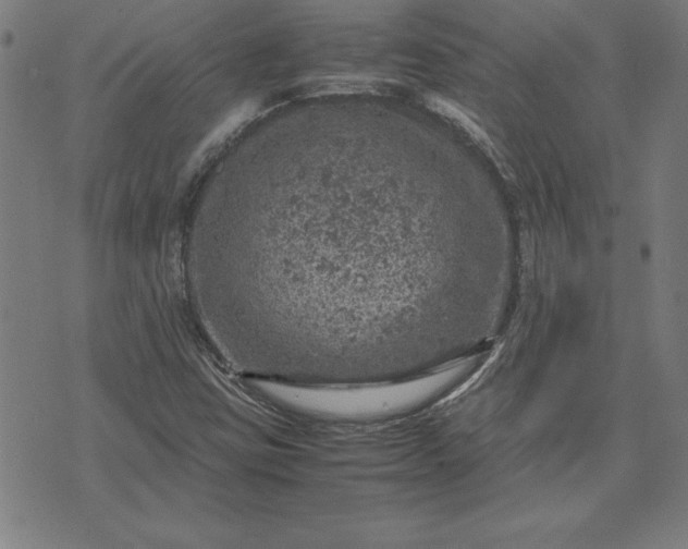 X0000072551403200607281637