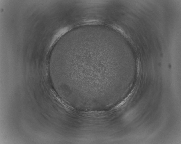 X0000072551405200607281637