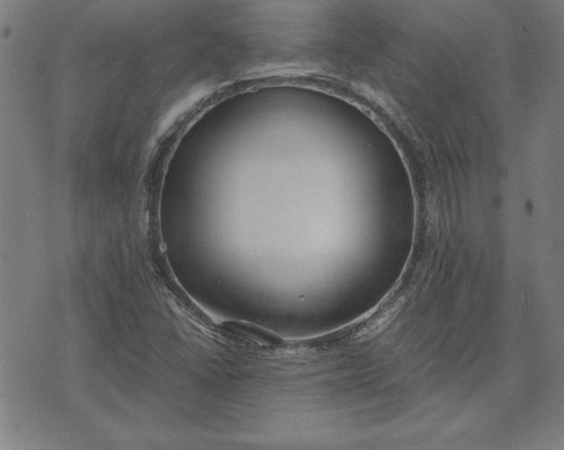 X0000072551406200607281637