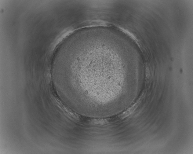 X0000072551407200607281637