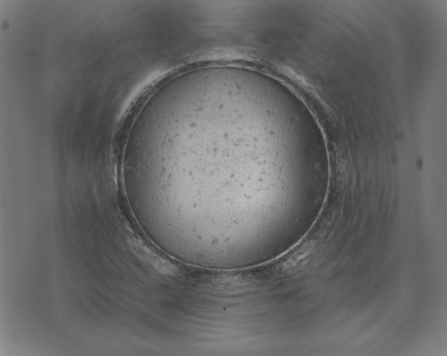 X0000072551408200607281637