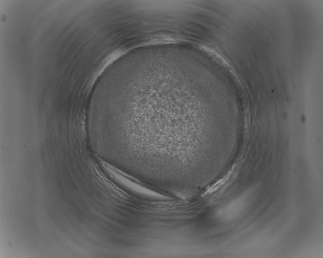 X0000072551409200607281637