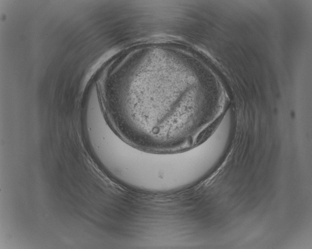 X0000072551410200607281637