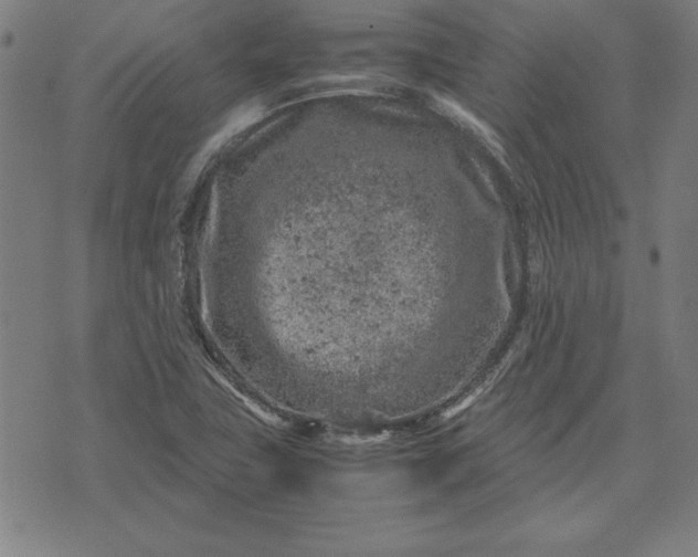 X0000072551411200607281637