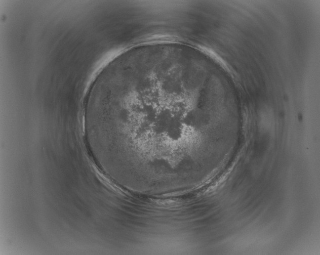 X0000072551413200607281637