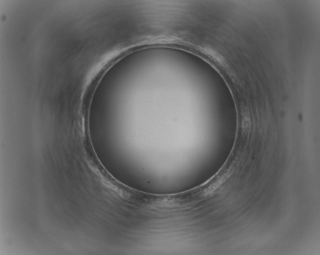 X0000072551414200607281637