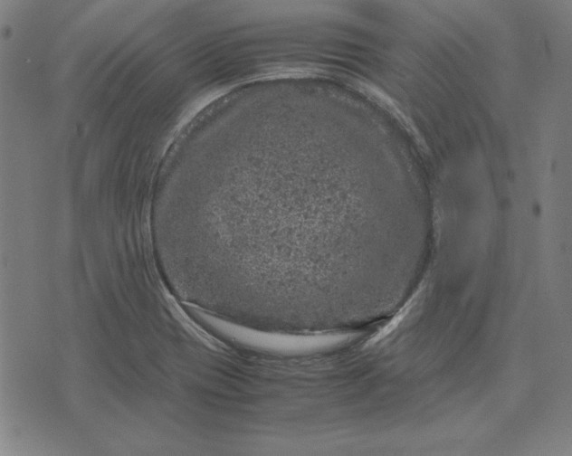 X0000072551417200607281637