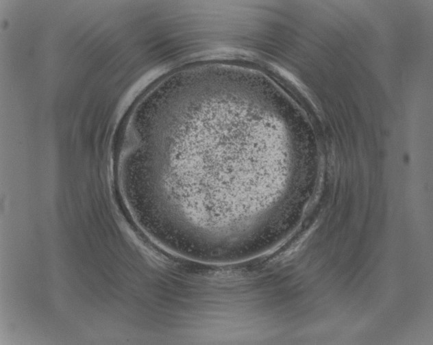 X0000072551418200607281637