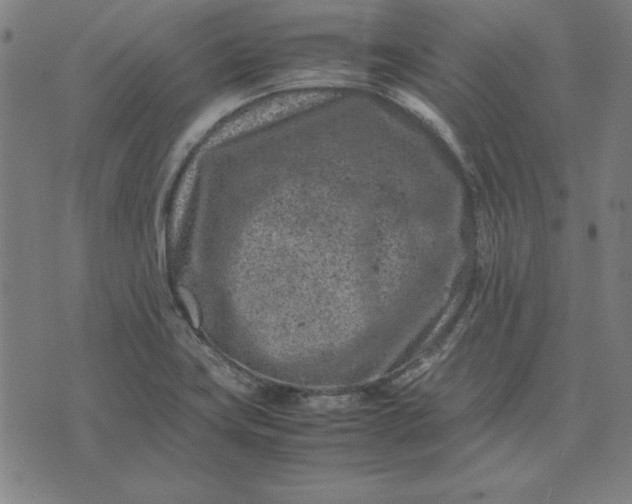 X0000072551419200607281637