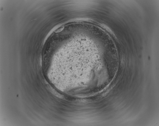 X0000072551420200607281637