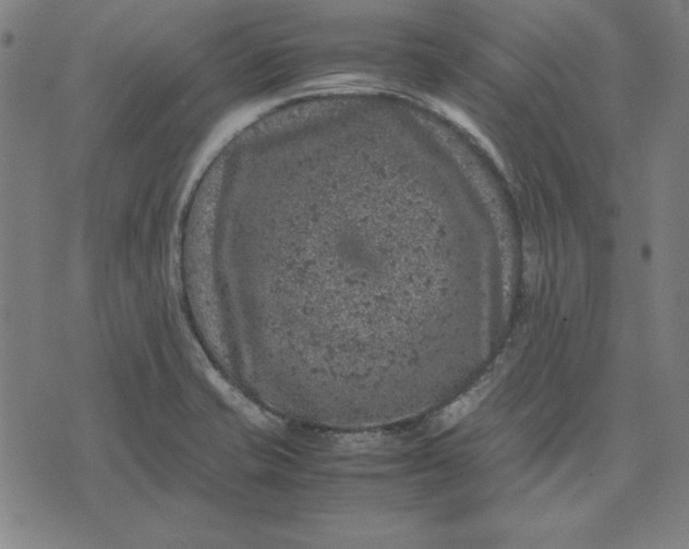 X0000072551421200607281637