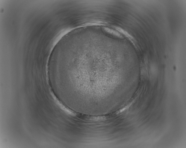 X0000072551423200607281637