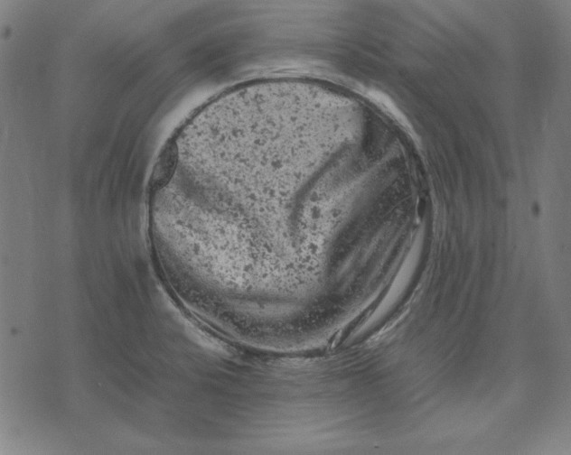 X0000072551424200607281637