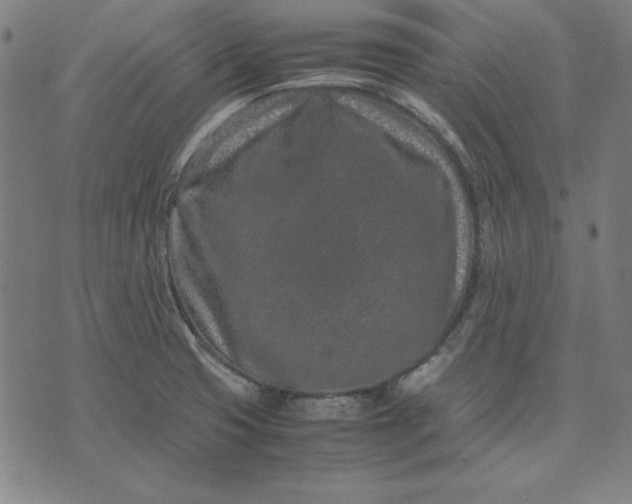 X0000072551425200607281637